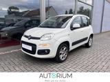 Fiat Panda Lounge CNG KLIMA LM FELG. EFH Klima - gebrauchte Fiat Panda aus dem Jahr 2013