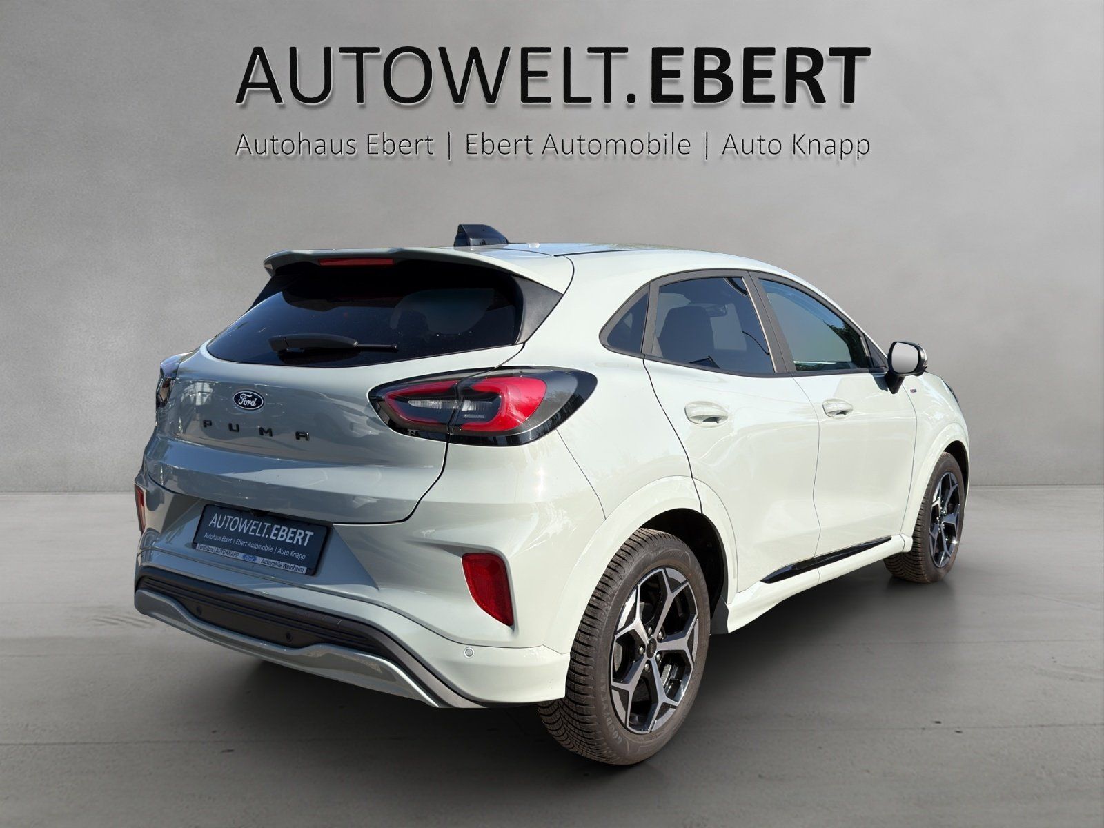 Fahrzeugabbildung Ford Puma 1.0 ST-Line X Aut./MATRIX/ACC/KAMERA/NAVI/