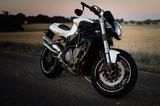 MV Agusta Brutale 910 - MV AGUSTA BRUTALE 910