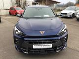 Cupra Terramar 1.5 eTSI DSG+AHK+18"+Pano+LED+Navi - Cupra Terramar Tageszulassungen
