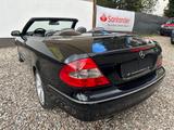 Mercedes-Benz CLK 280 AVANTGARDE NAVI/MEMORY/HARMAN/XEN/LEDER - Mercedes-Benz CLK-Klasse: Avantgarde