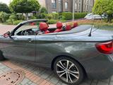 BMW 230i Steptronic Cabrio Luxury Line Luxury Line - BMW 230: I