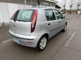 Fiat Punto 1.2 Dynamic - Fiat Punto Dynamic mit Benzin-Antrieb