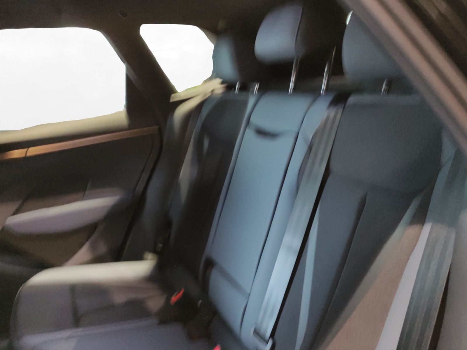 Cupra Terramar - Bild 15