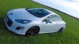 Peugeot Cabrio 308 CC Roland Garros 155 THP - Peugeot 308: Roland Garros
