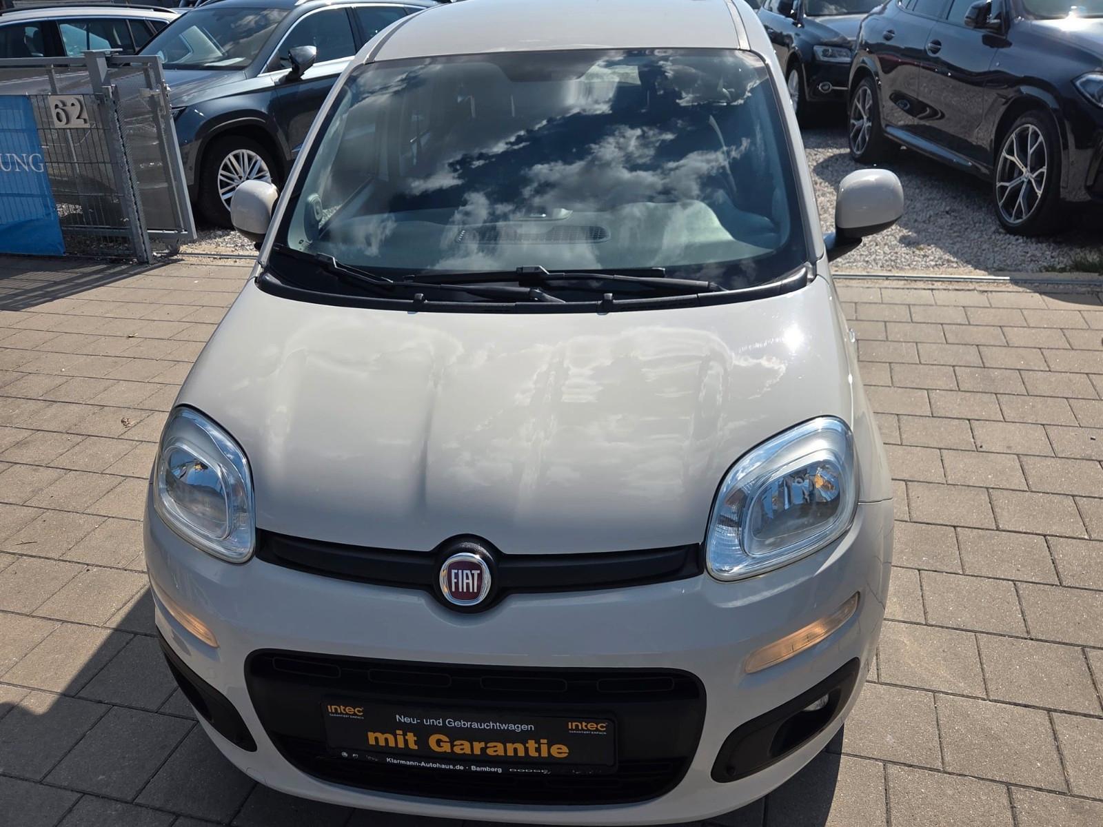 Fiat Panda Lounge