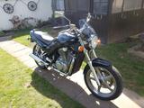 Suzuki VX 800 - SUZUKI VX 800
