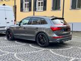 Audi SQ5 3.0 TFSI quattro / Top Ausstattung - Audi SQ5 in Mainz