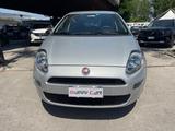 Fiat Punto 1.2 8V 5 porte Street 2018 - gebrauchte Fiat Punto aus dem Jahr 2018