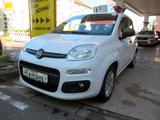Fiat Panda 1.2 EASY Klima/SHZ/PDC - gebrauchte Fiat Panda aus dem Jahr 2020