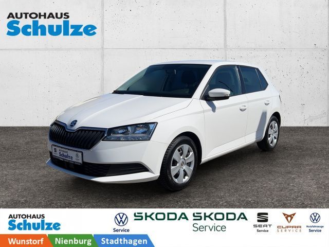 Fahrzeugabbildung Skoda Fabia 1.0 TSI Ambition Klima, AppConnect, Navi