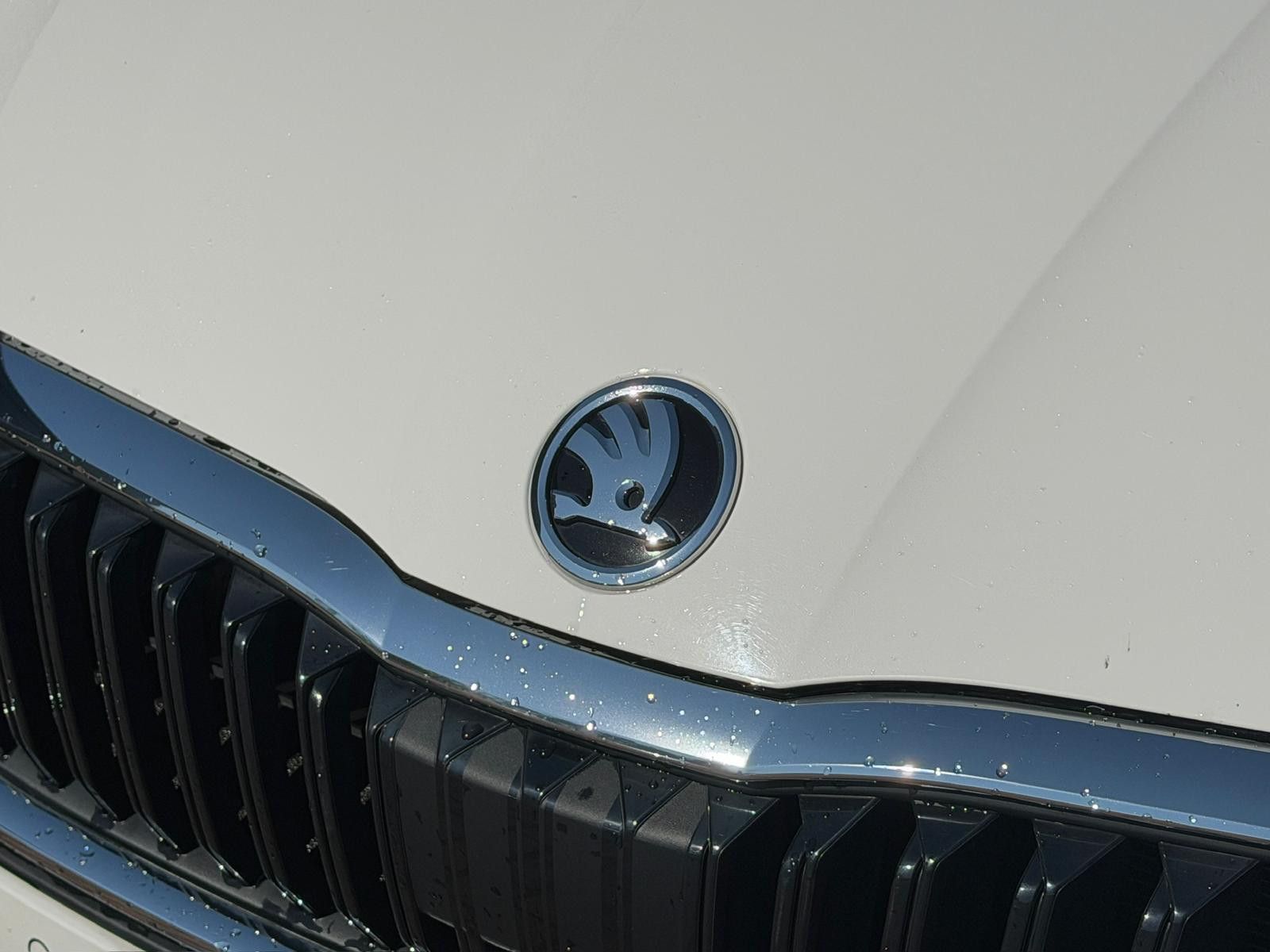 Fahrzeugabbildung SKODA Octavia Combi Ambition