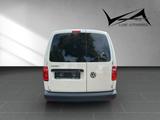 Volkswagen Caddy Nfz Maxi Kasten BMT Kühlfahrzeug - Volkswagen Caddy: Kombi, Maxi