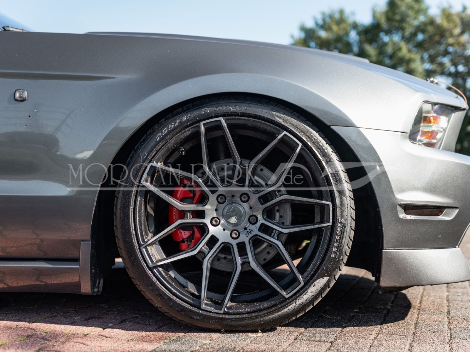 Fahrzeugabbildung Ford Mustang GT *Neidfaktor+480PS*