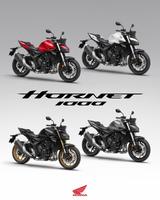 Honda CB 1000 Hornet ! Jetzt vorbestellen für 2025 !
