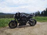 Yamaha FZ1 RN16 - YAMAHA 2009 FZ1