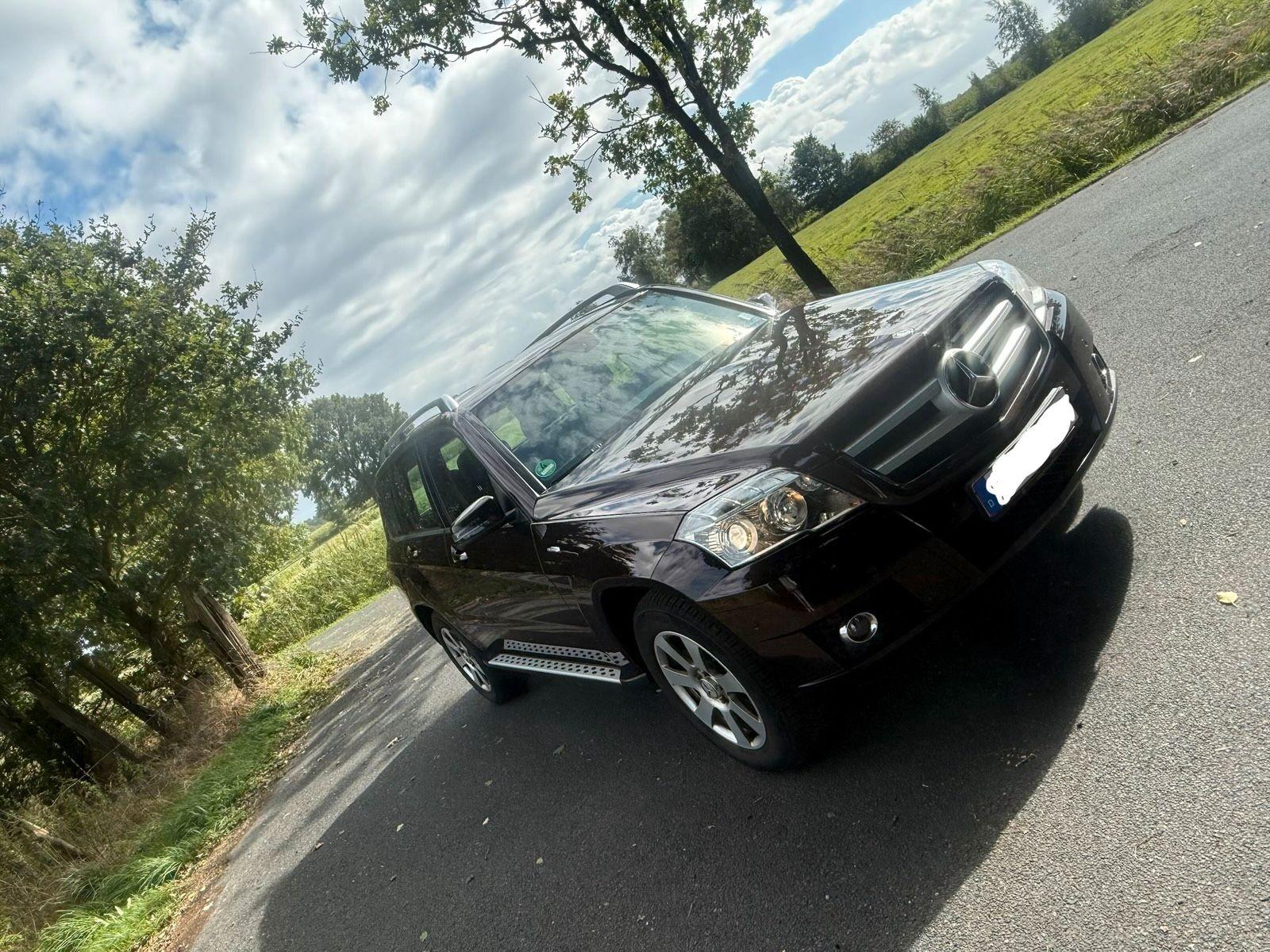 Mercedes-Benz GLK220 2011 — rear view