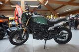 Benelli Leoncino 800T Trail E5, Tageszulassung - BENELLI LEONCINO