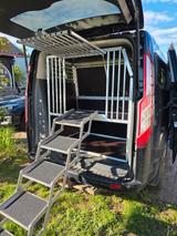 Ford Tourneo Custom - Ford Tourneo Custom: Automatik