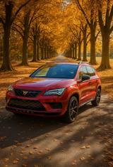 Cupra Ateca 2.0 TSI 221kW 4Drive DSG - - Cupra Gebrauchtwagen von 2018