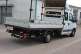 Iveco Andere PRITSCHE/PLANE - gebrauchte Iveco Kleinbus