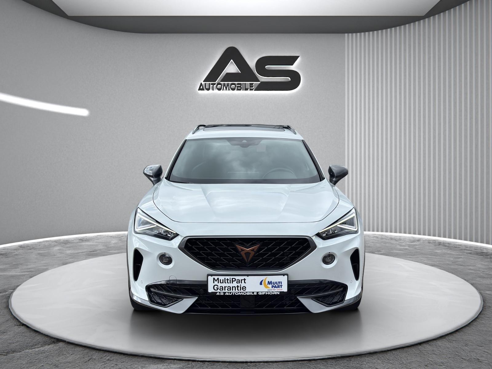 Cupra Formentor 1.5 TSI Navi Pano R.Kamera 18" LED