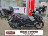 Honda FORZA 125 S-Edition NSS125 Top Zustand! - HONDA FORZA 125
