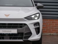 Cupra Terramar - Vorschau Bild 5