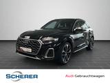 Audi SQ5 3.0 TDI 251(341) kW(PS) tiptronic - Audi SQ5 in Saarbrücken