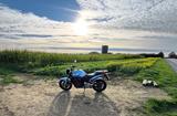Honda CBF 600 NA - HONDA ABS CBF 600 N