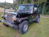 Jeep Wrangler 2.5  - gebrauchte Jeep Wrangler aus dem Jahr 1990
