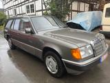 Mercedes-Benz 250 D Kombi, 5 Gang, ehemaliger Bestattung... - gebrauchte Mercedes-Benz 250 aus dem Jahr 1992