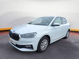Skoda Fabia 1.0 TSI Style DAB*KA*LED*LHZ*SHZ*PDC*TOUCH - Skoda Fabia in Wiesbaden