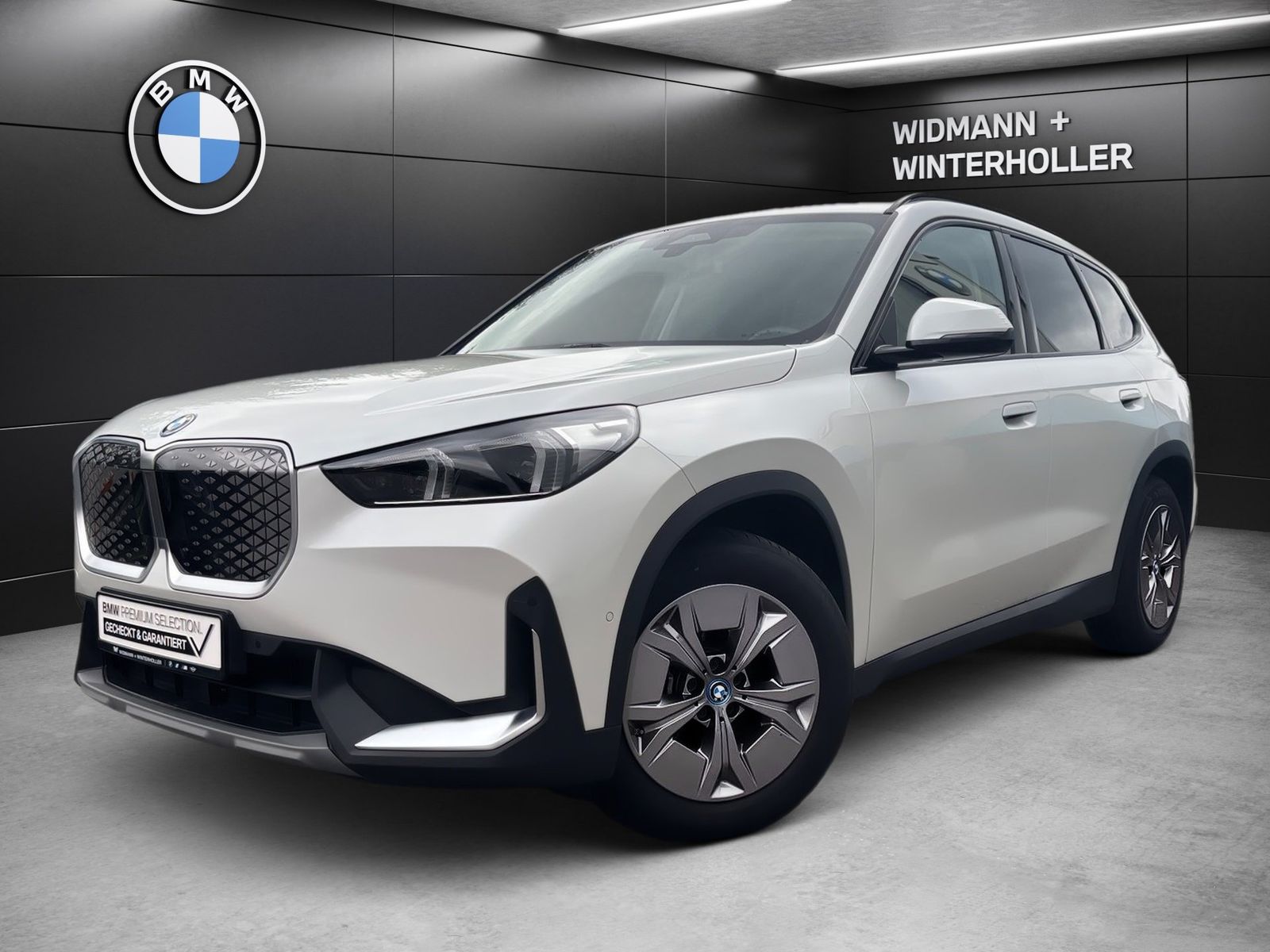 BMW iX1 xDrive30 Navi LC PLus ad.LED DA LRH RFK PA foto 1