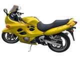 Suzuki Custom GSX 750 F (Biene Maja) - SUZUKI GSX 750 F