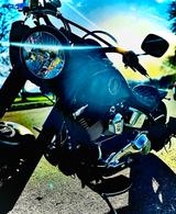 Harley-Davidson Softail  - HARLEY-DAVIDSON 2006 SOFTAIL
