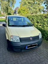 Fiat Panda - Fiat Panda Gebrauchtwagen in Solingen
