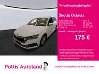 Skoda Octavia - Vorschau Bild 1