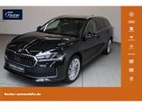 Skoda Superb Combi 1.5 TSI mHEV Selection - Skoda Superb Vorführfahrzeuge