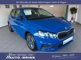 Skoda Fabia Tour mit Alu/PTS/LED/SmartLink/21tkm