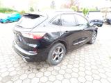 Ford Kuga ST-Line X/PANO/WINTER2/ - gebrauchte Ford SUV & Geländewagen