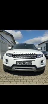 Land Rover Range Rover Evoque 2.2 TD4 Pure Pure - Land Rover Range Rover Evoque mit Diesel-Antrieb: Geländewagen, Td4 Pure