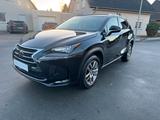 Lexus NX 300h Executive Line *Leder*Kamera*SHZ* - Lexus: Nx