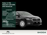 Skoda Fabia - Vorschau Bild 1