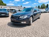 Skoda Superb 2.0TDI Ambition*DSG*TMP*SHZ*Navi*Pano*EU5 - Skoda Superb: 2.5