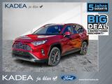 Toyota RAV4 2.5 D Team Deutschland ACC+LED+Navi+SHZ+LM - Toyota RAV 4 Jahreswagen