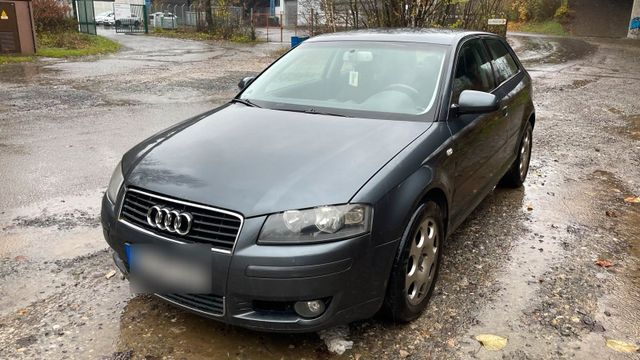 Audi A3 8P 1.9 Tdi 2-Türer Winterauto Tüv