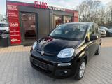 Fiat Panda Easy *Klima* - gebrauchte Fiat Panda aus dem Jahr 2017