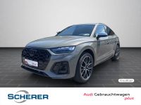 Audi SQ5 - Vorschau Bild 1
