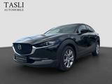 Mazda CX-30 Selection 2WD HEAD-UP/360°KAMERA/NAVI/SPUR - Mazda CX-30 Diesel Gebrauchtwagen